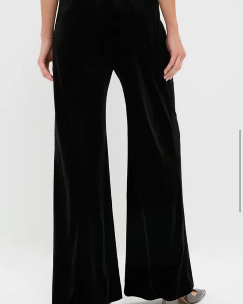 Tuckernuck Velvet Pants - Image 3
