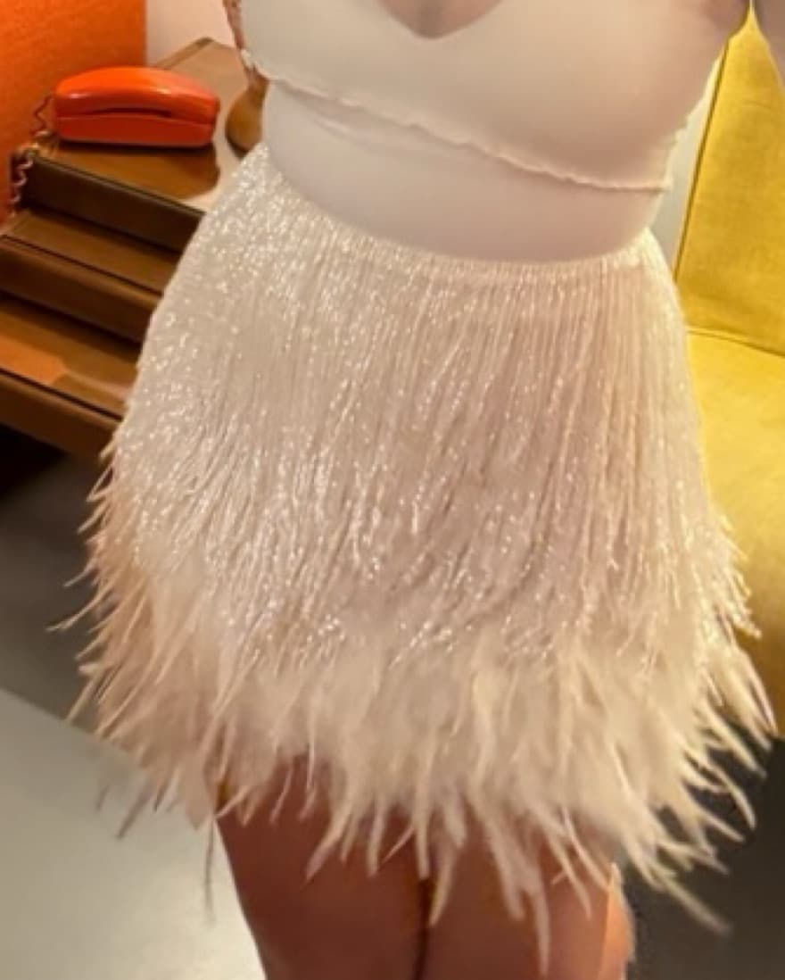 Nadine Merabi Beaded & feathered Skirt   - Image 2