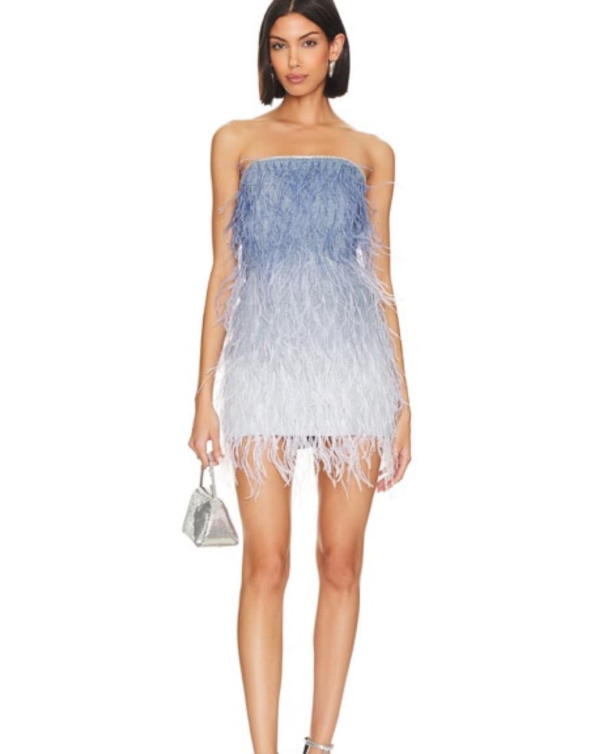 Retrofete Sofia Feather Dress - Image 1