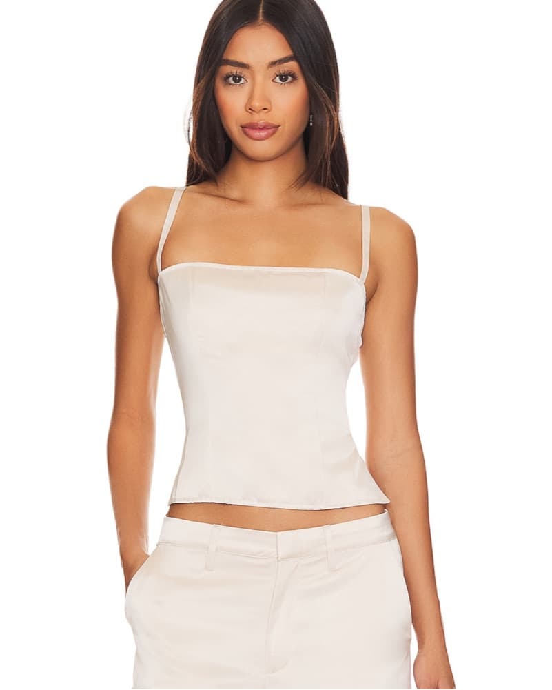 Lioness Corset top - Image 1
