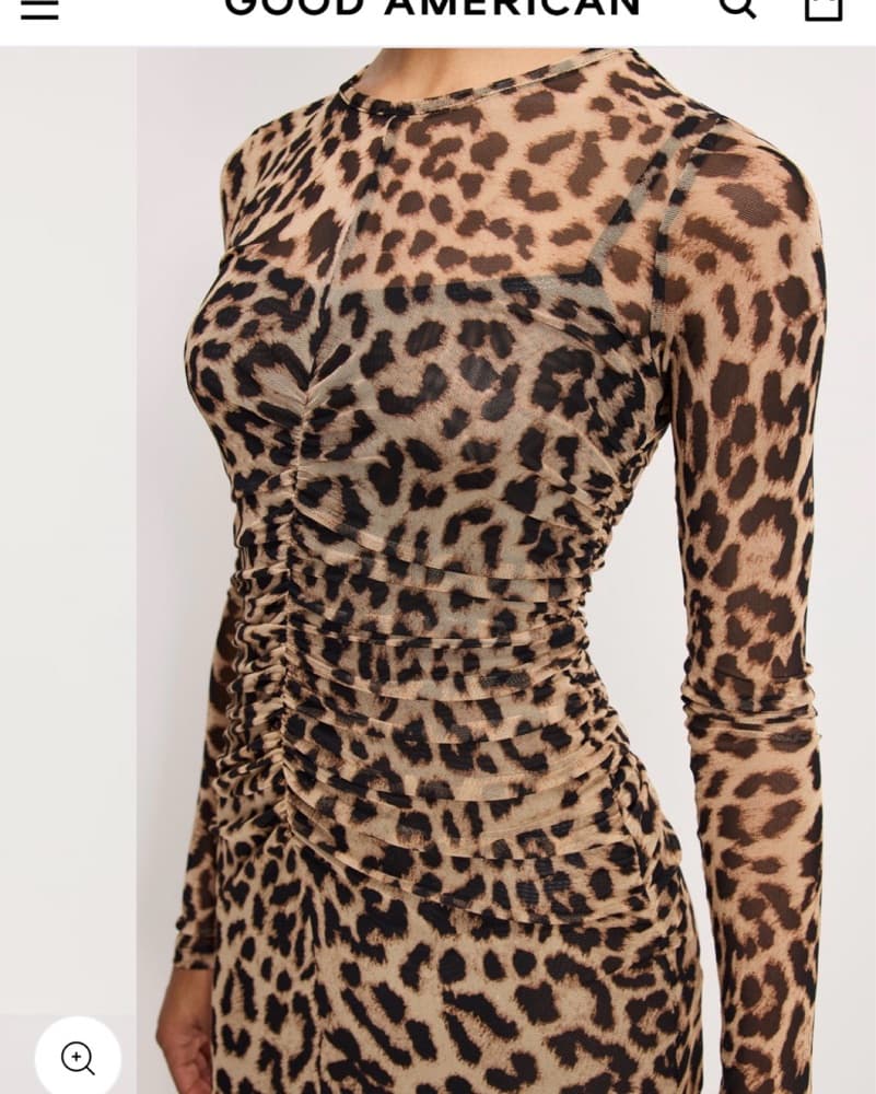Leopard Mesh Dress - Image 4