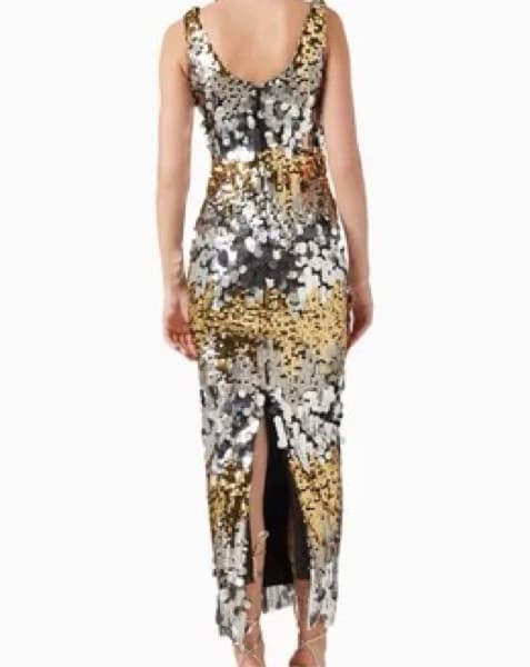 Gold And Silver Sequin Maxi Dress - Image 4