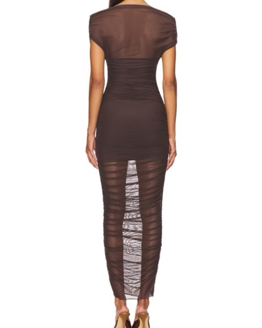 Brown Sheer SER.O.YA Maxi Dress - Image 3