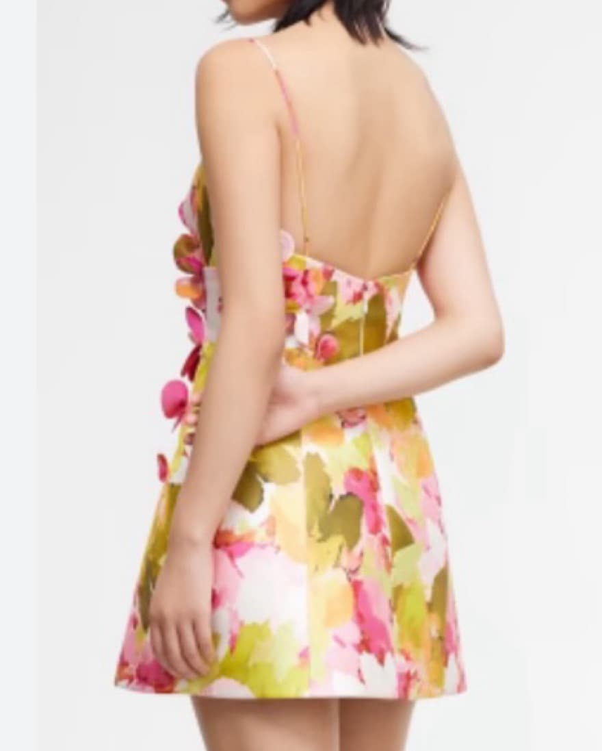 Acler Isla 3D Floral Embellished Dress - Image 4