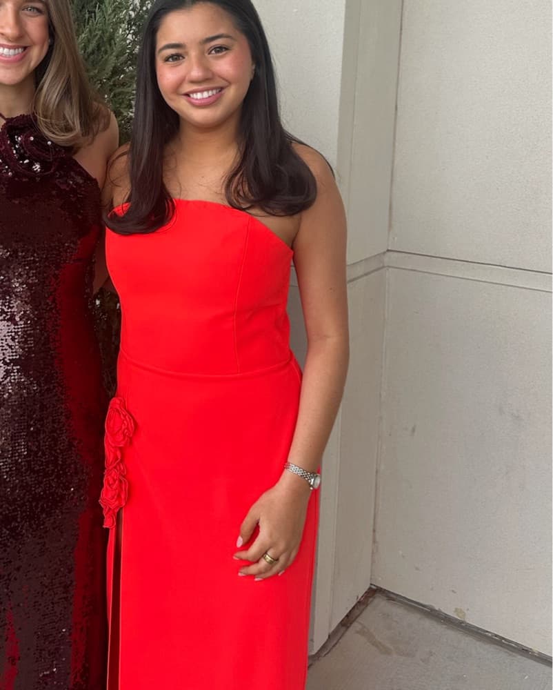 Amanda Uprichard Wolfe Dress - Image 3