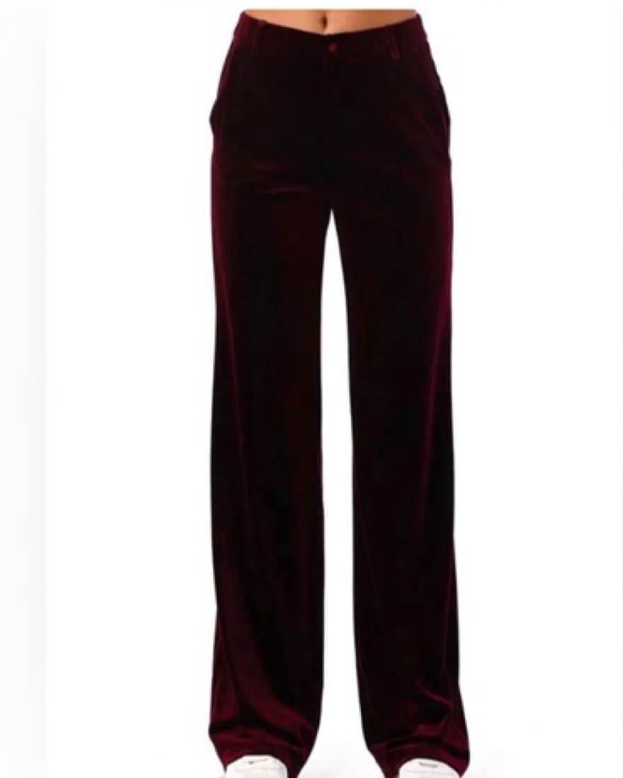 Yumi Kim Velvet Suit - Image 4