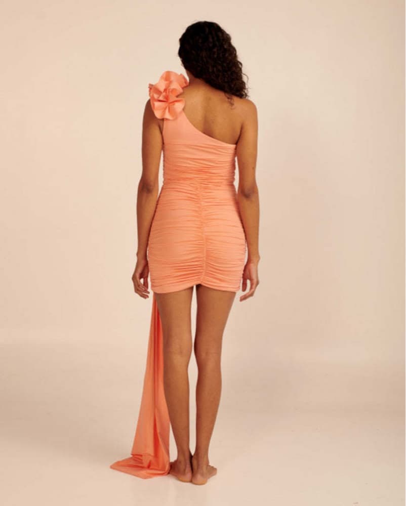 Miramar Peach Dress - Image 2