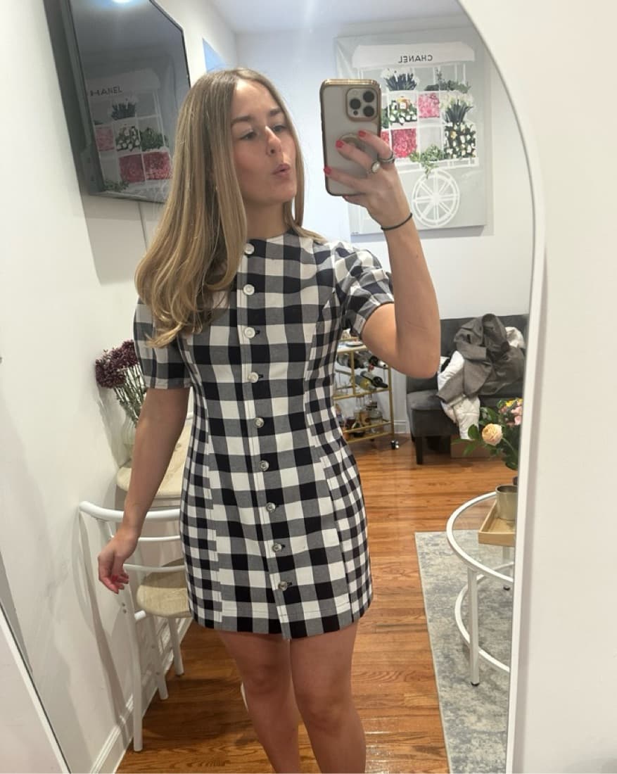 ALIGNE Gingham Anthropology Dress - Image 3
