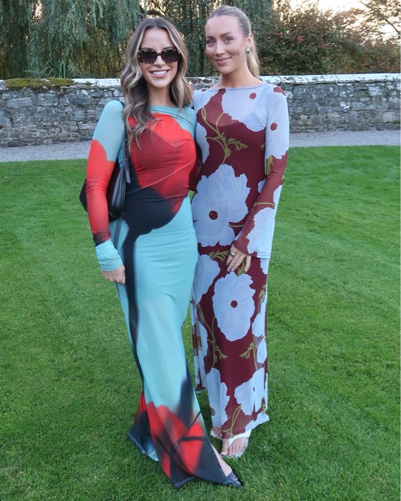 Never Fully Dressed Mesh Dress  - Image 2