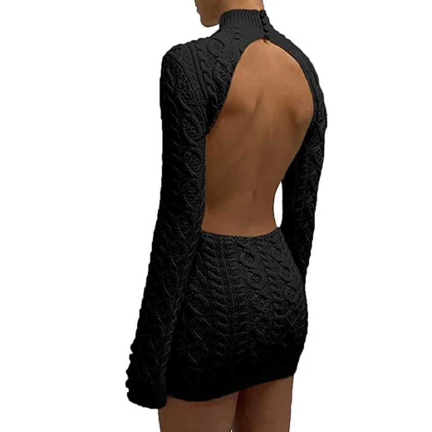 Danielle Guizio Backless Sweater Dress - Image 1