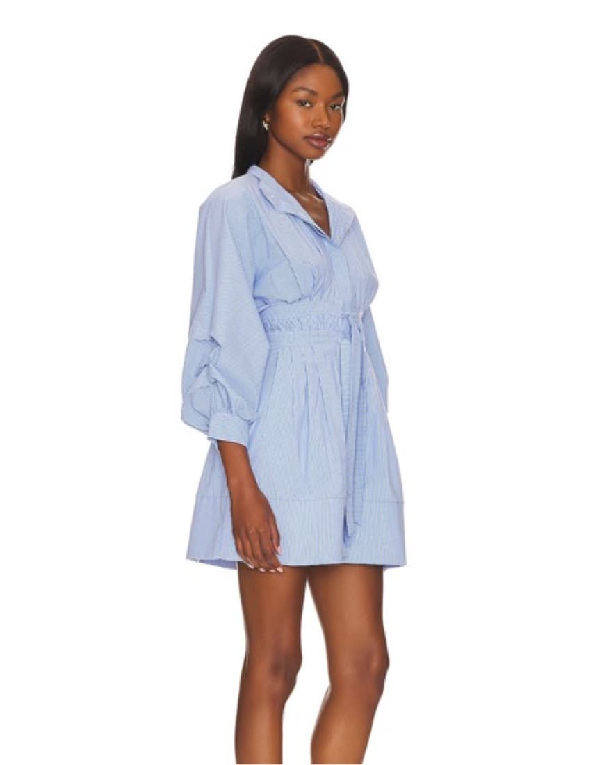 Long Sleeve Blue Mini Dress from Revolve - Image 1