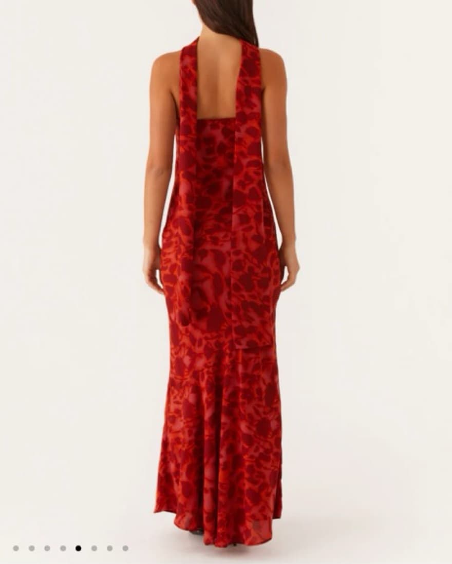 Peppermayo Under The Pagoda Maxi Dress - Image 2