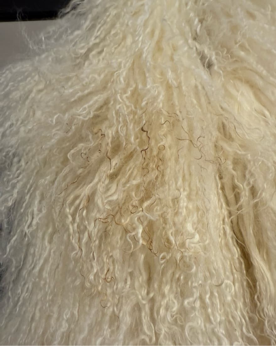 Plush Ivory Faux Fur Vest - Image 5