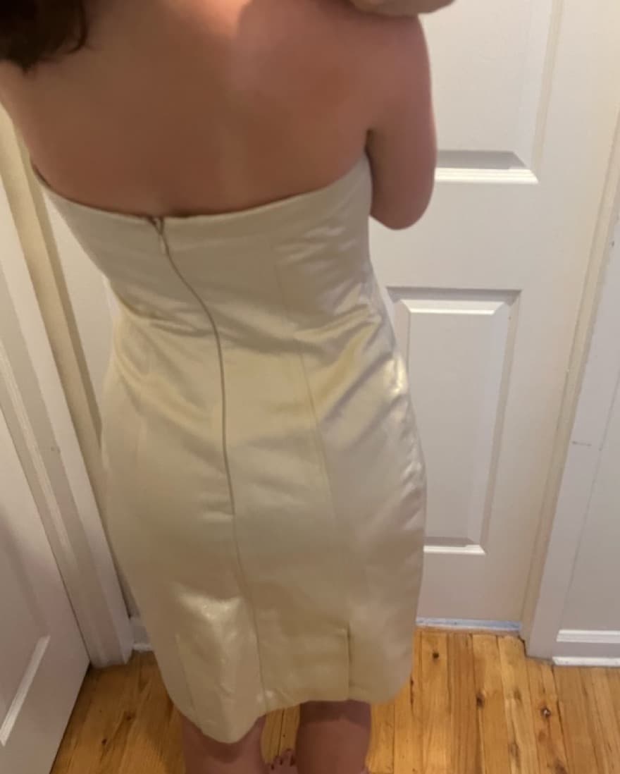 BADGLEY MISCHKA - vintage corset dress - Image 5