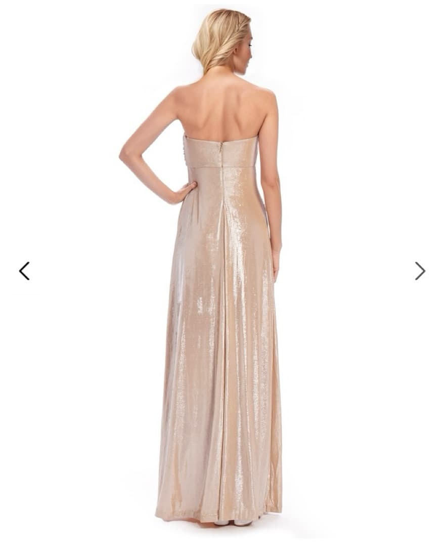 Badgley Mischka Champagne Dress - Image 2