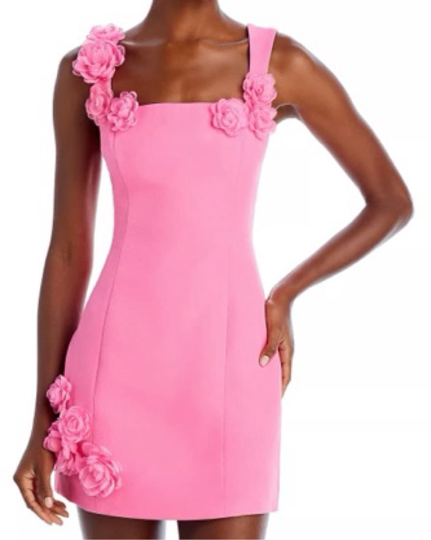 Elliatt Trompe Minidress - Image 4