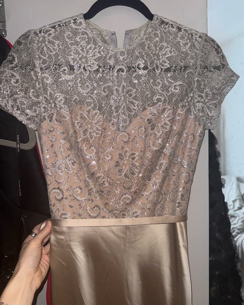 Champagne Lace Gown By Terani Couture - Image 2
