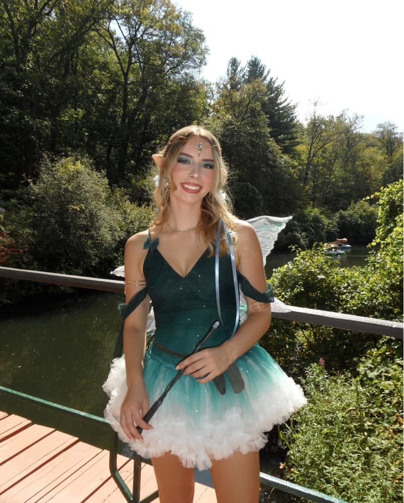Fairy Halloween Costume  - Image 3