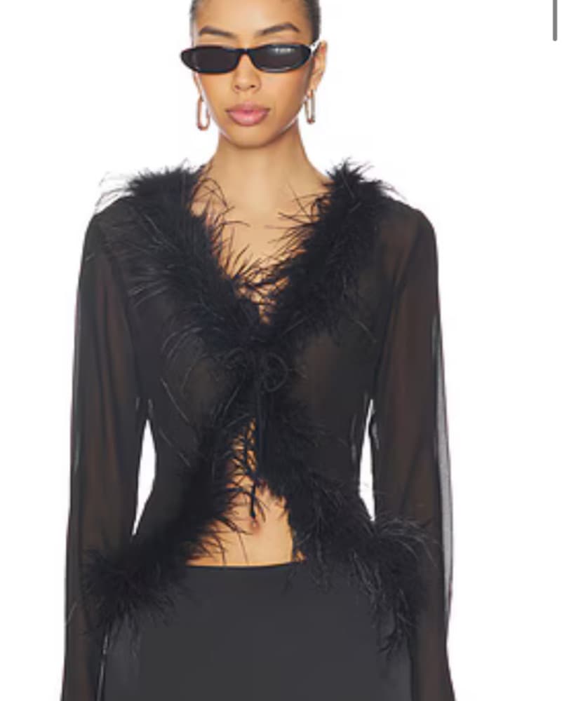Sheer Feather Tie Top - Image 1