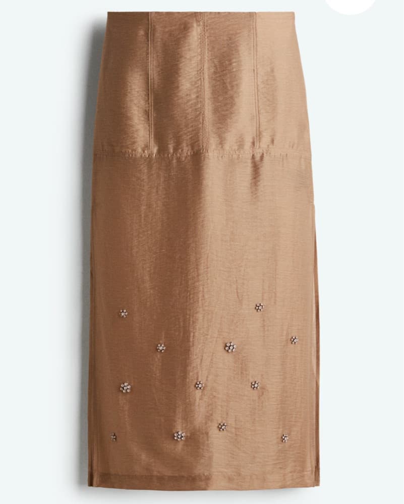 SHEER EMBELLISHED SKIRT - Image 1