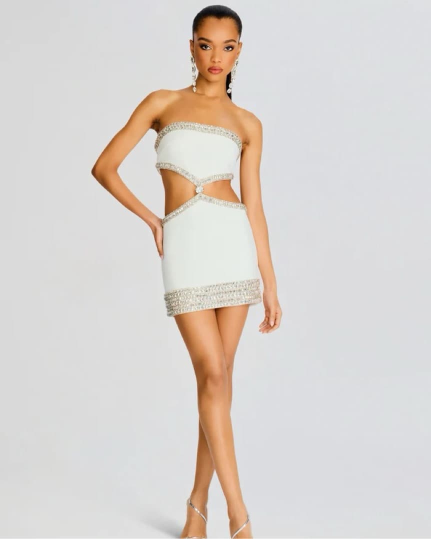 Retrofete Conley Embellished Dress - Image 2