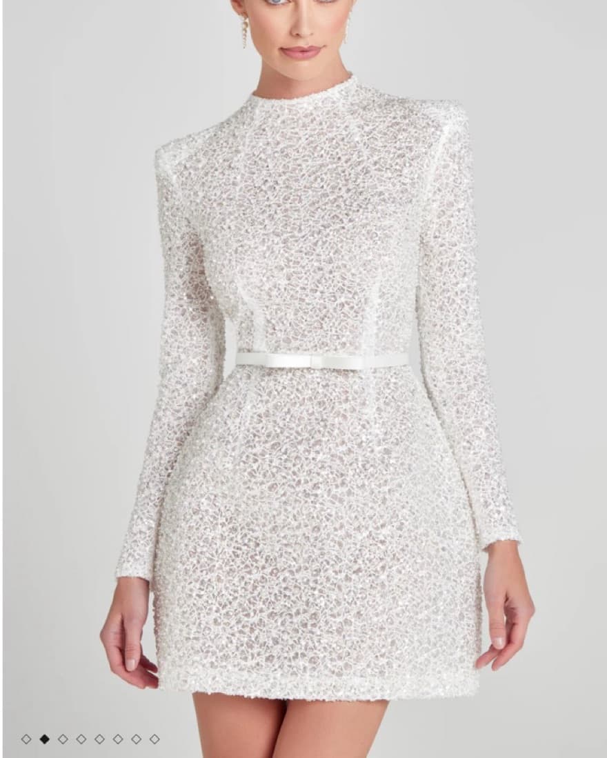 NEW Nadine Merabi Dress  - Image 2
