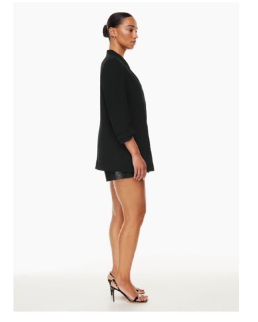 Aritzia Blazer- Babaton Power Blazer - Image 5