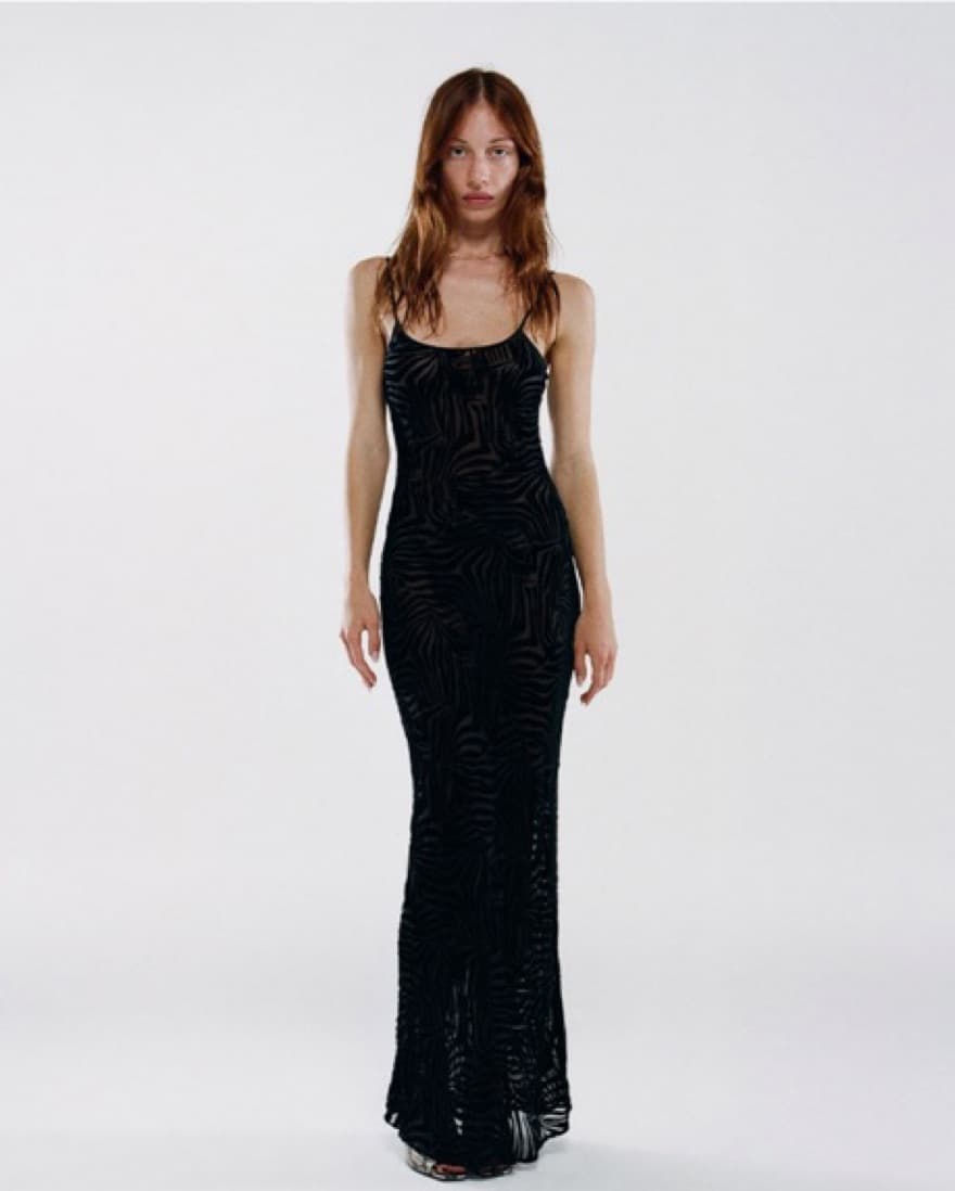 Realisation Par The Amber In Zebra - Image 1