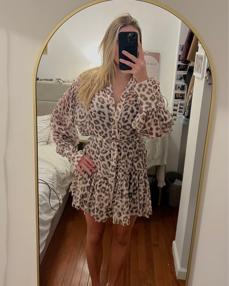 Zimmermann Cheetah Dress - Image 3