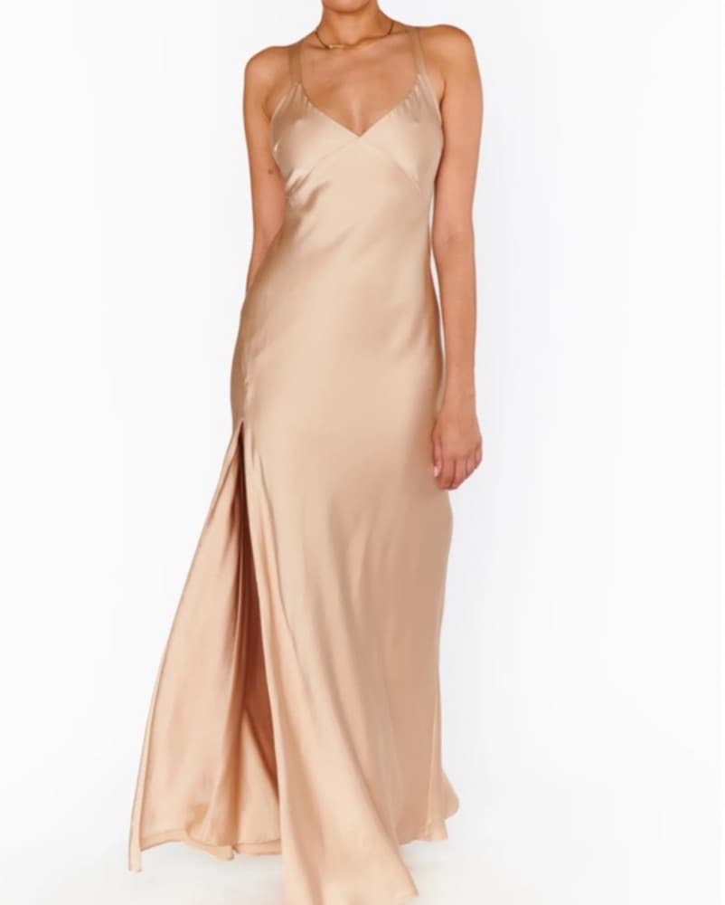 Show Me Your Mumu Anderson Maxi - Image 2