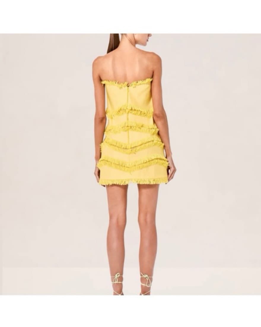Alexis Fione Dress - Image 3