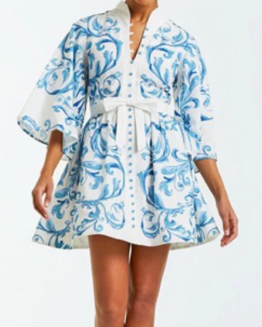 Mestiza Mini Dress - Image 1