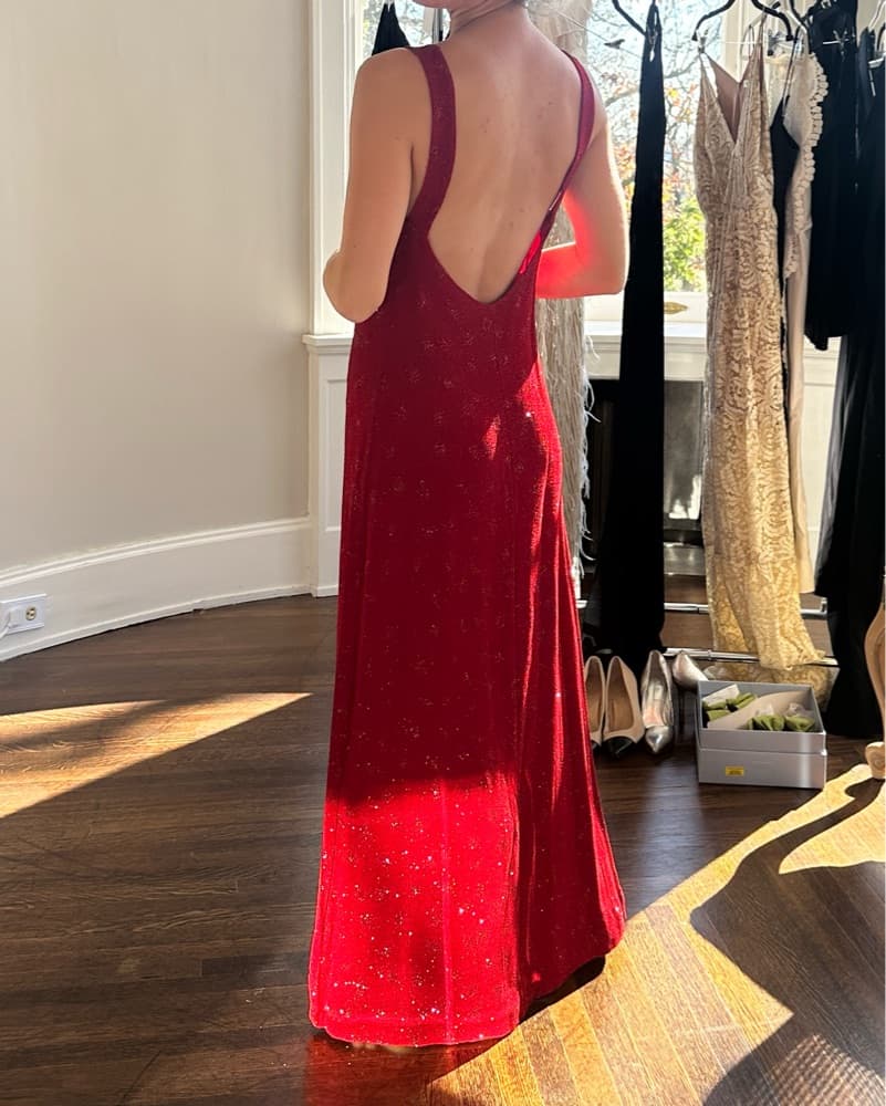 Shimmery Red Dress  - Image 1