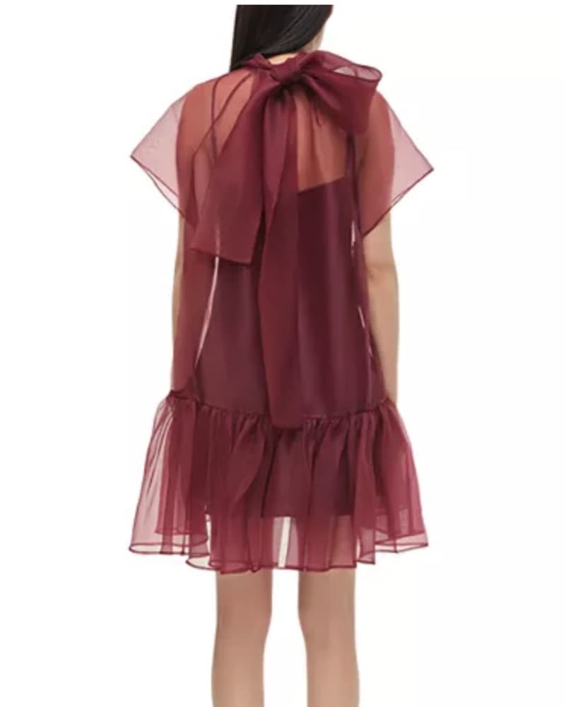 Elegant Burgundy Sheer Dress - Image 3