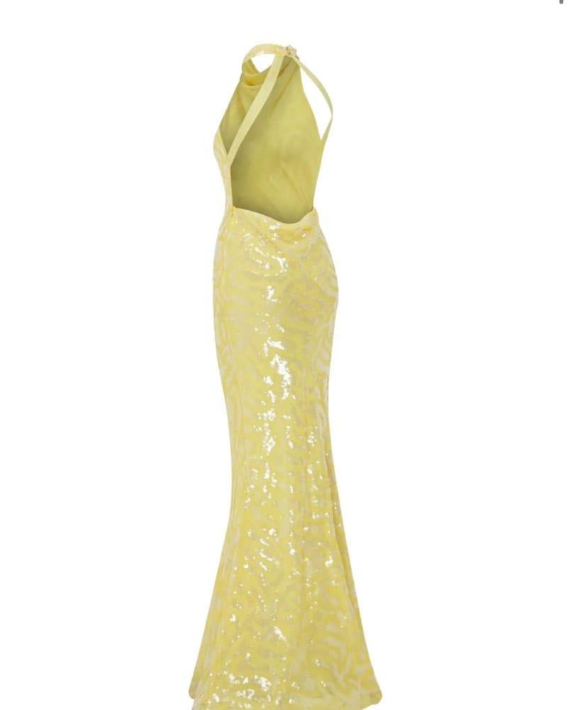Raisa Vanessa Yellow Gown (with Tags)  - Image 4