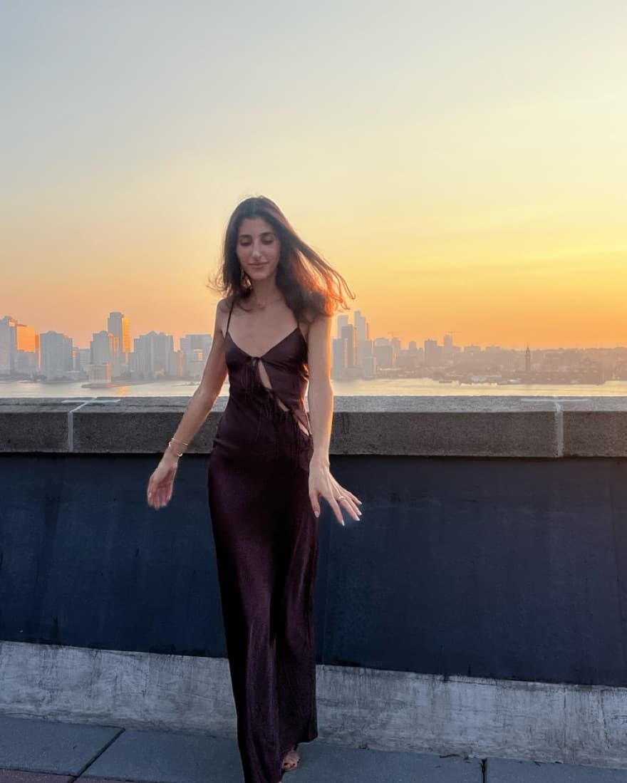 Lioness Maxi Dress - Image 3