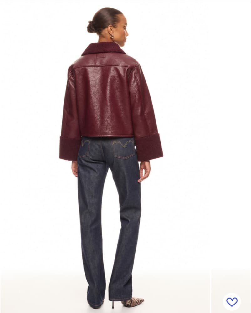 Dria Shearling Jacket - Image 4
