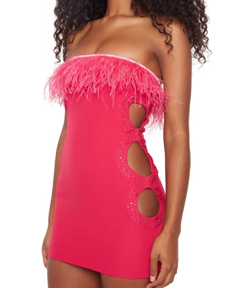 Danielle Guizio Pink Feather-Trim Dress - Image 5