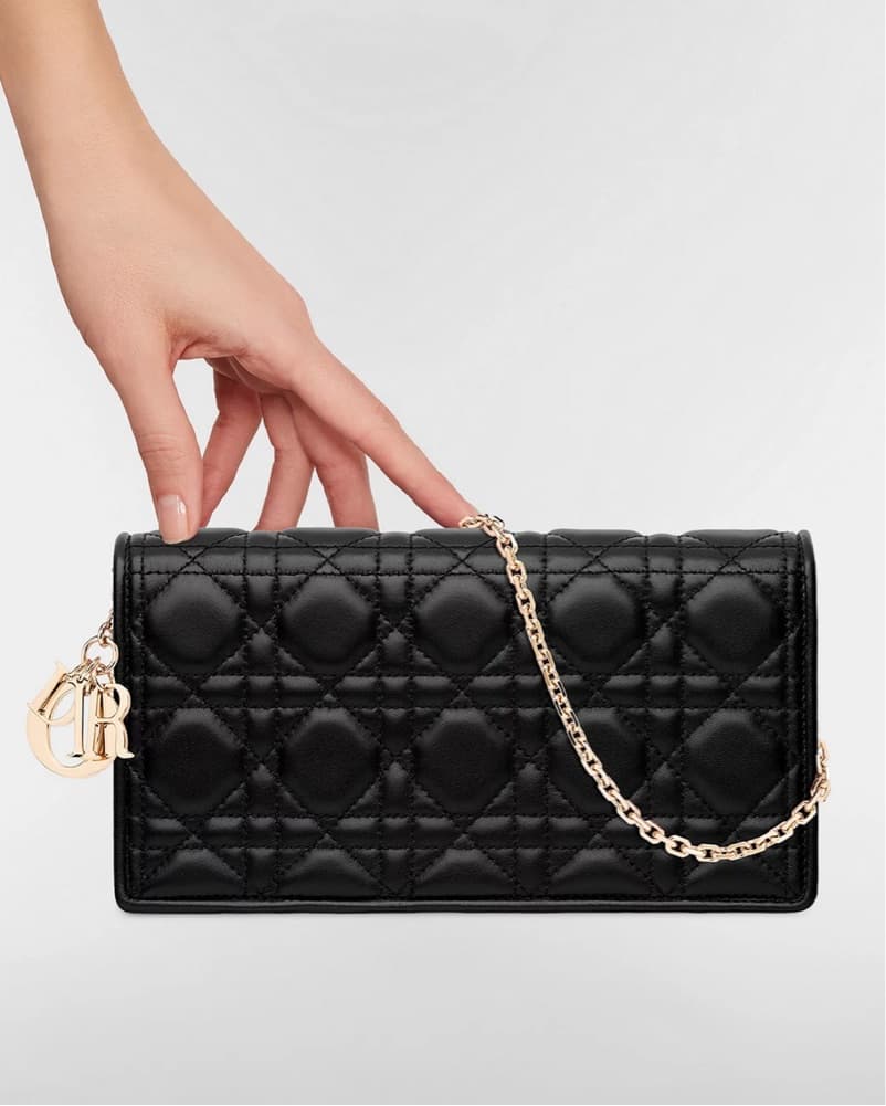 Lady Dior Pouch - Image 1