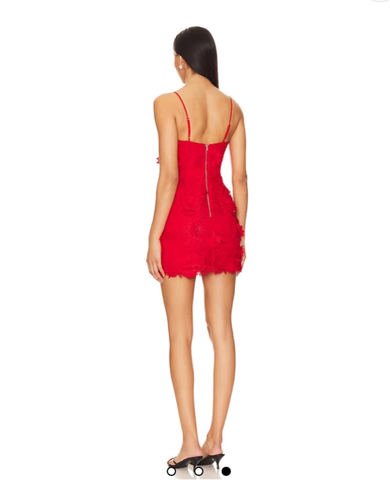 Bardot Brias Mini Dress - Image 3