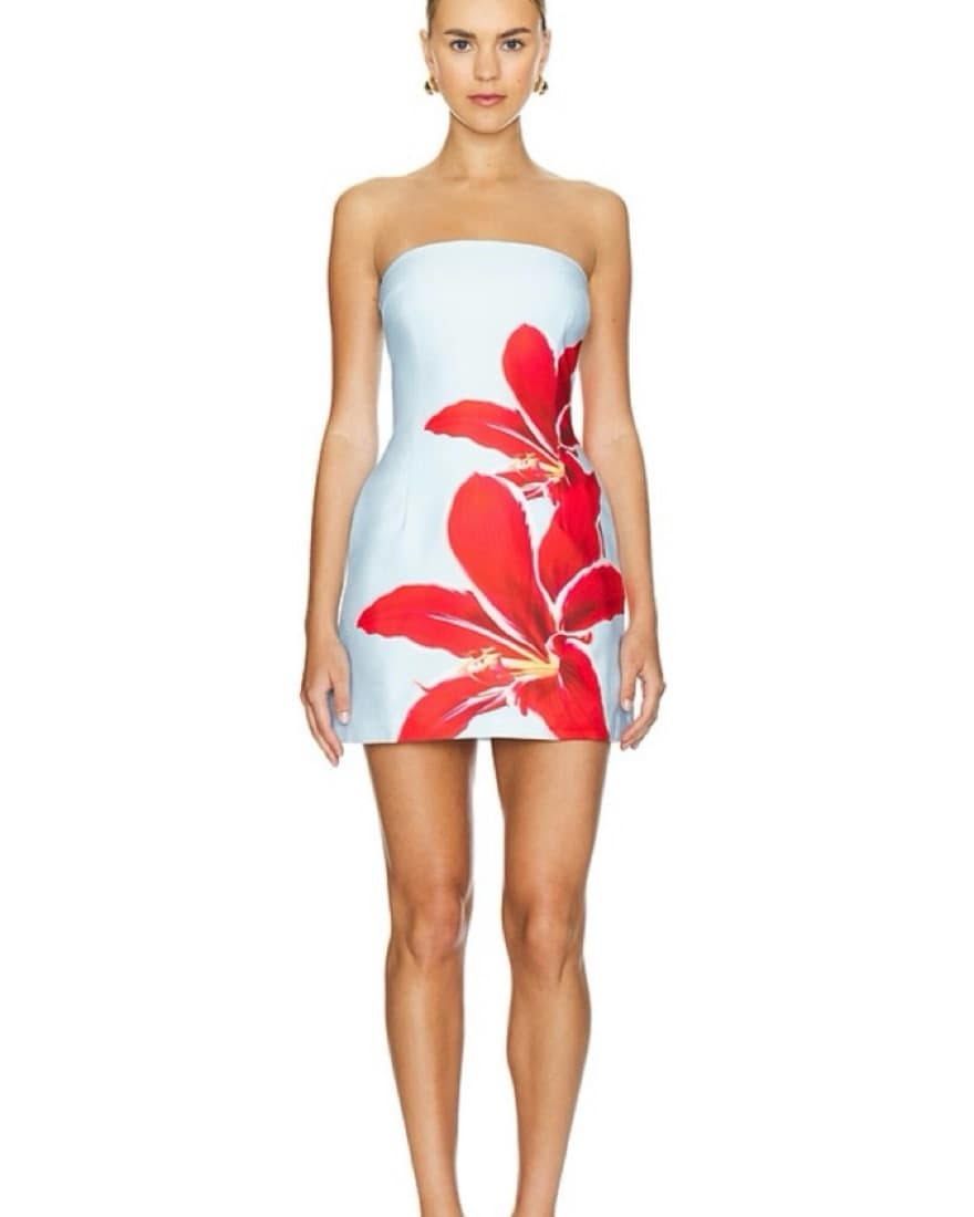 Runaway The Label Primrose Mini Dress - Image 1