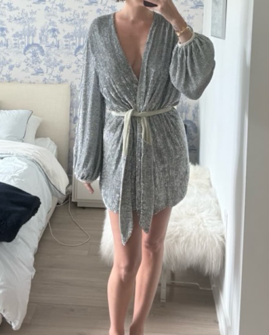 Retrofete Silver Sequin Robe Dress  - Image 2
