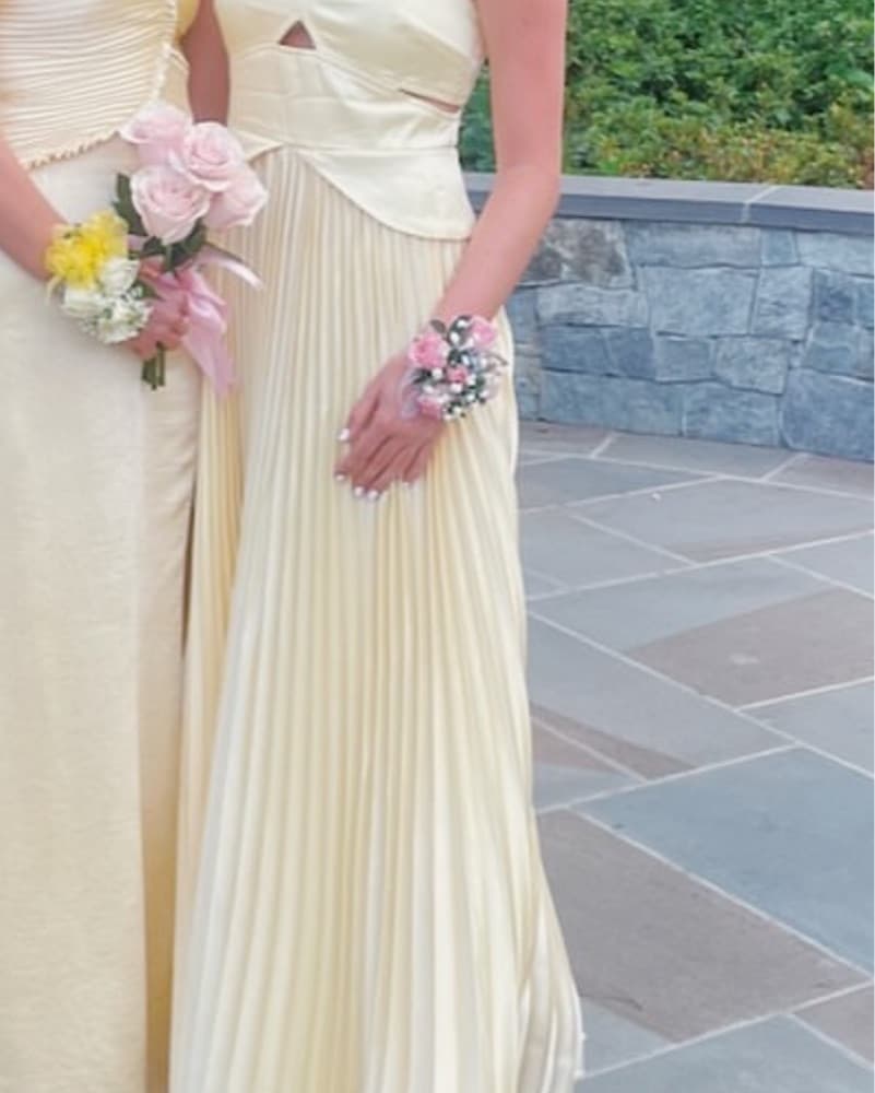 Elegant Pleated Maxi Dress - Image 5