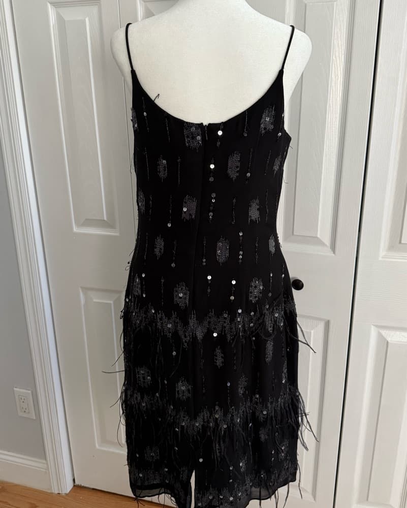 Beautiful Dress With Sequin And Feather - Image 3