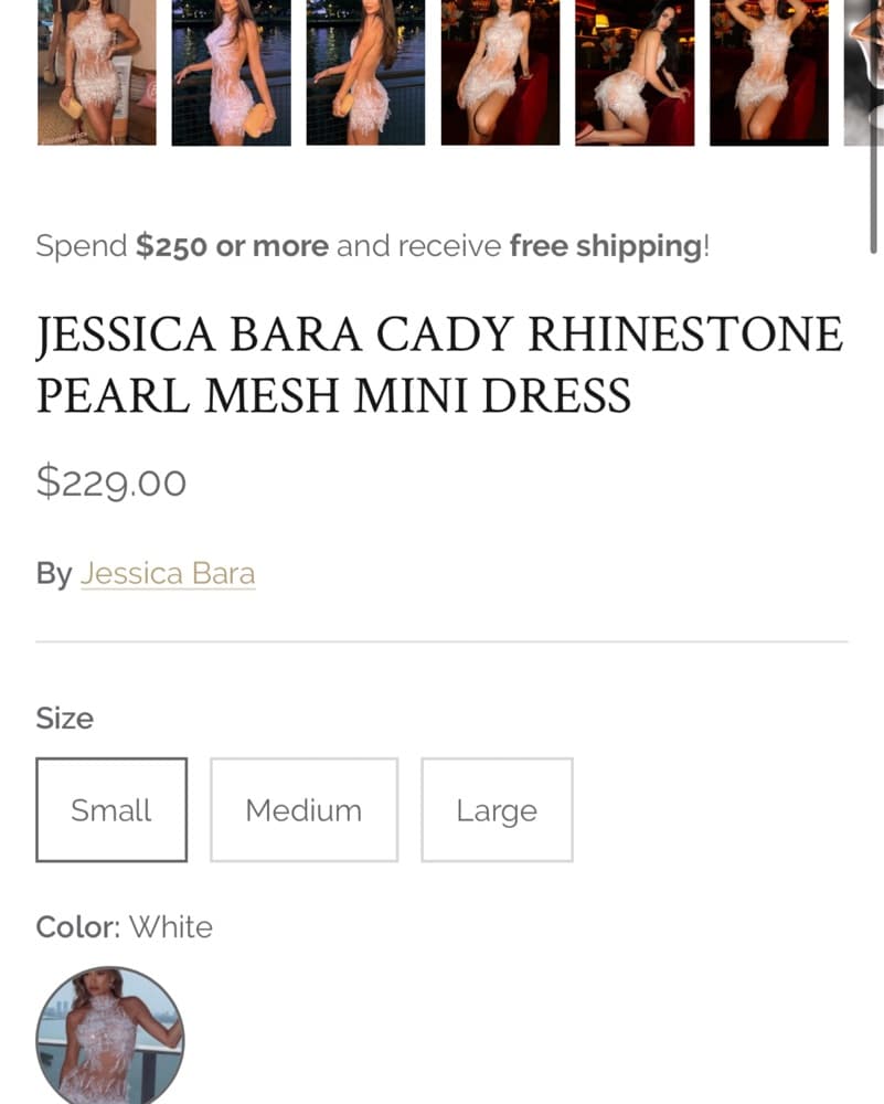 Jessica Bara Rhinestone Feather Mini - Image 2