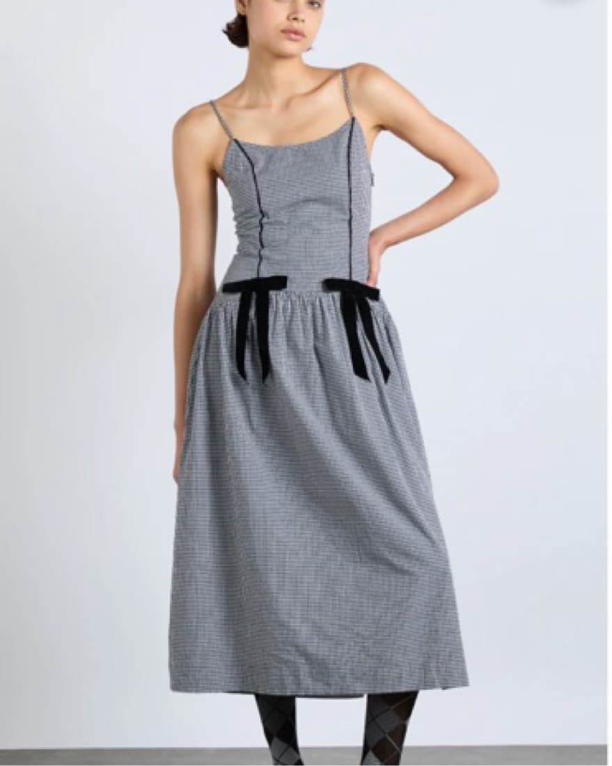 Damson Madder Navy Gingham Dress - Image 1