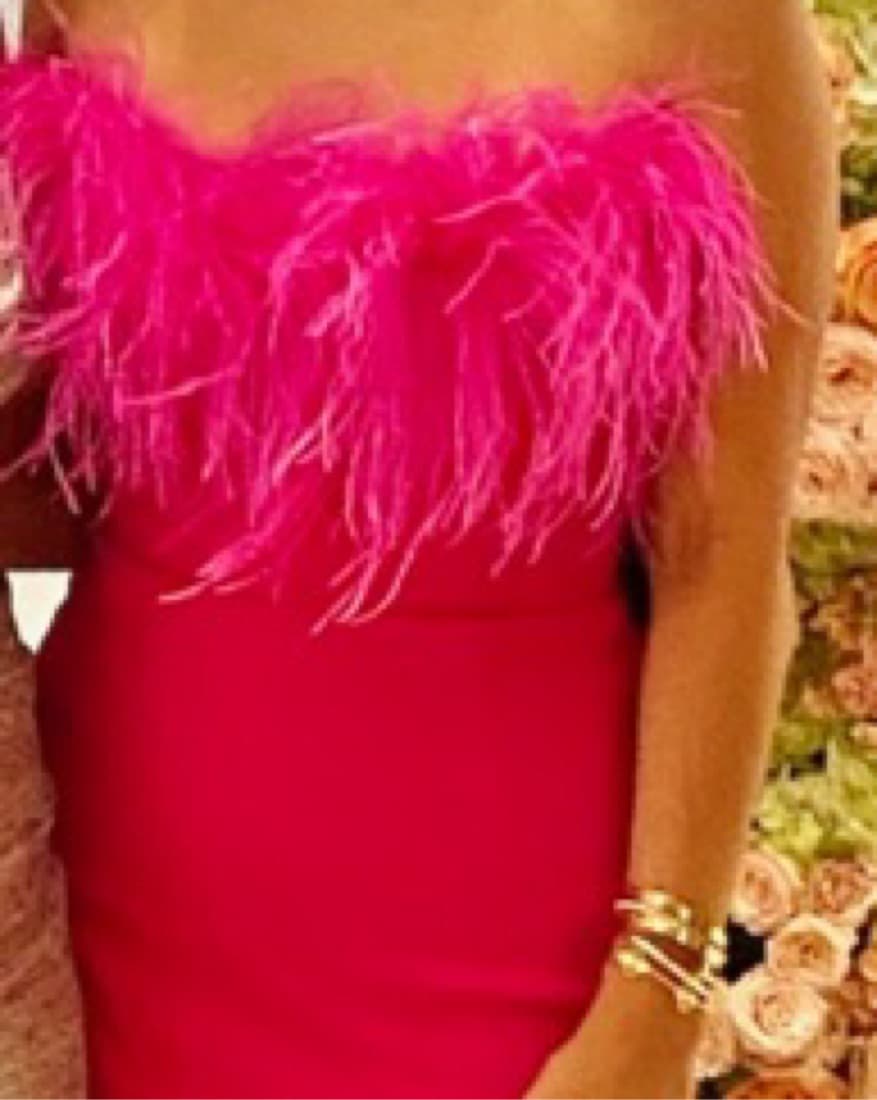 Pink Feather Gown New Arrivals - Image 3